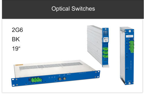 Optical Switches 2G6  BK 19“
